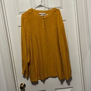 Loft plus size top